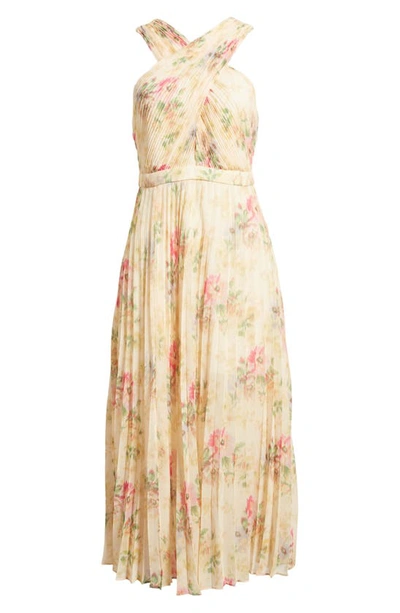Shop Ted Baker Amerah Floral Pleated Midi Dress In Tan