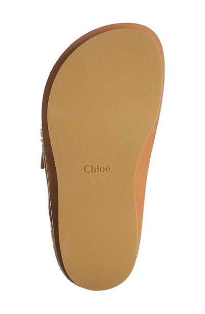 Shop Chloé Marah Genuine Shearling Slide Sandal In Tan