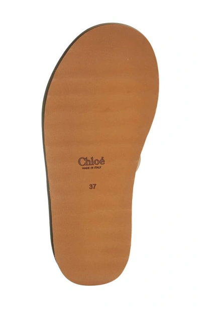 Shop Chloé Maxie Leather Slide Sandal In Soft Tan