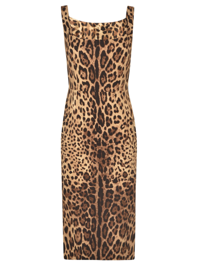 Shop Dolce & Gabbana Animal Print Back Zip Sleeveless Dress In Leo New