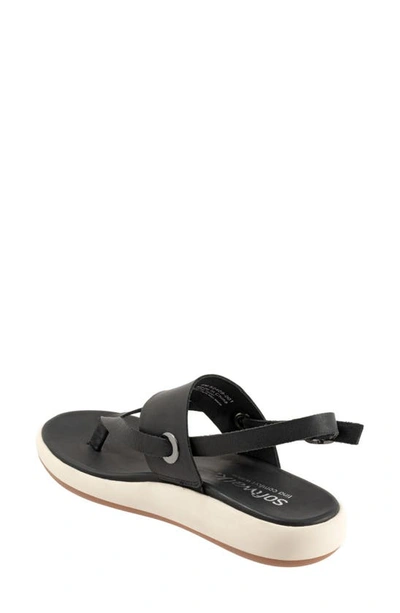 Softwalk Joliet Slingback Sandal In Black