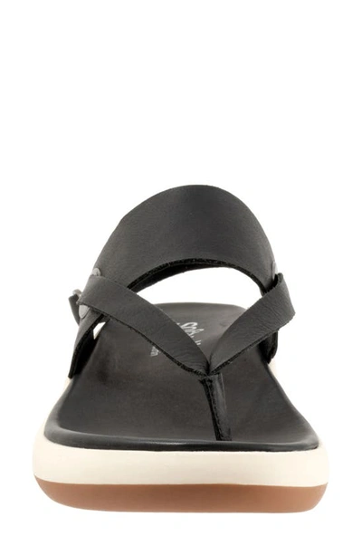 Softwalk Joliet Slingback Sandal In Black