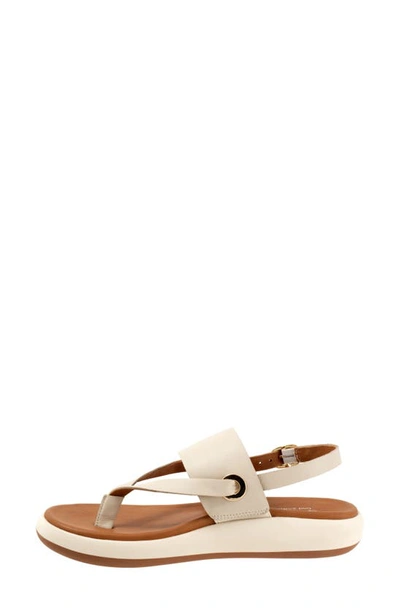 Softwalk Joliet Slingback Sandal In Ivory