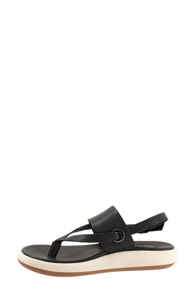 Softwalk Joliet Slingback Sandal In Black