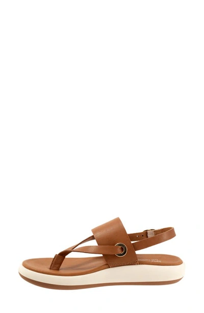 Softwalk Joliet Slingback Sandal In Luggage
