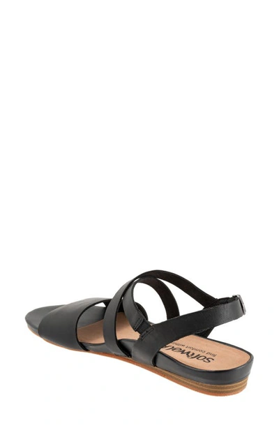 Softwalk Cali Sandal In Black