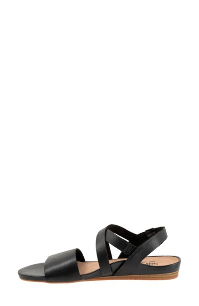 Softwalk Cali Sandal In Black