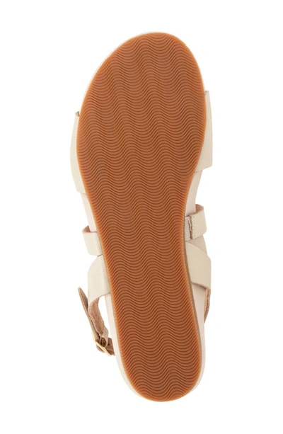 Softwalk Cali Sandal In Ivory