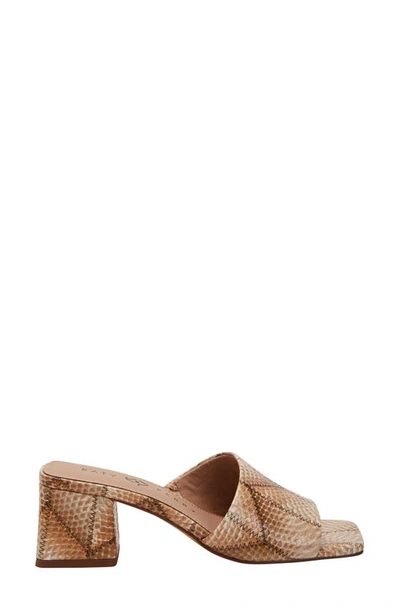 Katy Perry The Gemm Slide Sandal In Tan Multi
