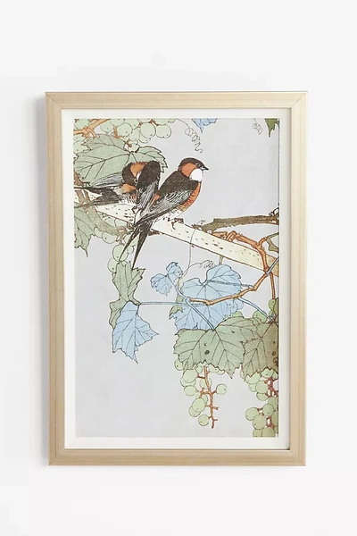 Shop Wendover Art Group Ornithology Motif Wall Art