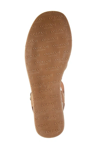 Shop Cordani Jordie Platform Wedge Sandal In Cuoio Leather