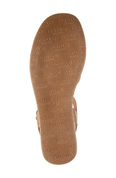 Cordani Liona Ankle Strap Platform Sandal In Cuoio Leather