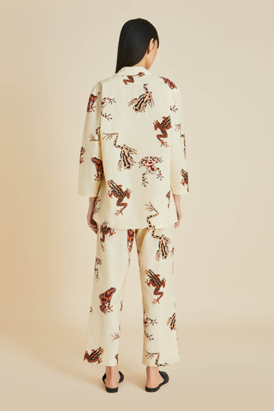 Shop Olivia Von Halle Casablanca Hyades Cream Frog Pyjamas In Cotton-silk