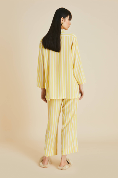 Shop Olivia Von Halle Casablanca Polaris Yellow Stripe Pyjamas In Silk Crêpe De Chine
