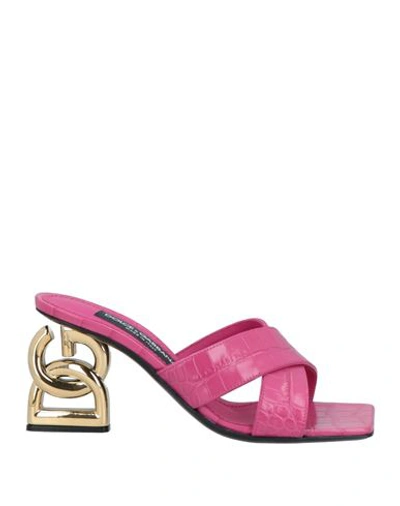 Shop Dolce & Gabbana Woman Sandals Fuchsia Size 6.5 Calfskin In Pink