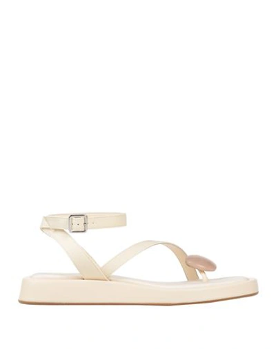 Gia Rhw Gia / Rhw Woman Thong Sandal Ivory Size 7 Textile Fibers In White
