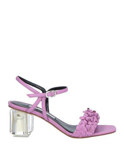 Shop Francesco Sacco Woman Sandals Purple Size 7 Leather