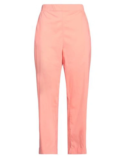 Shop Liviana Conti Woman Pants Salmon Pink Size 8 Cotton, Polyamide, Elastane