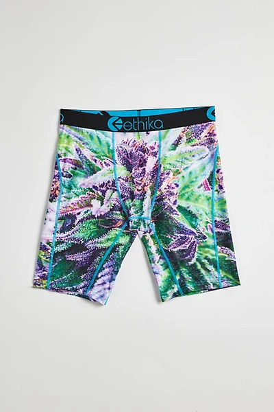 Shop Ethika Grape Kush Boxer Brief In Purple, Men's At Urban Outfitters