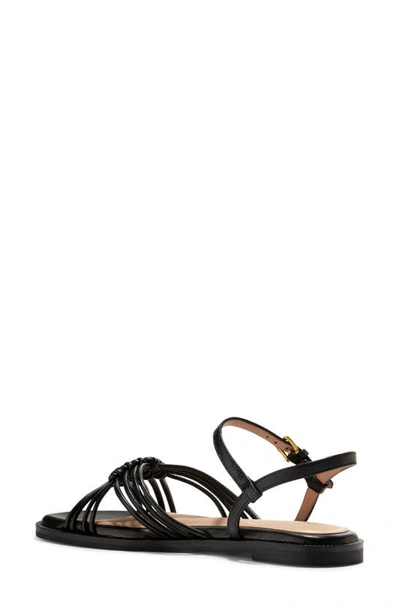 Shop Cole Haan Jitney Sandal In Black Leather