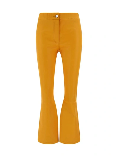 Shop Arma Pants In Apricot