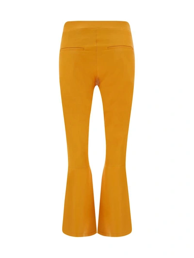 Shop Arma Pants In Apricot