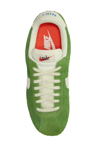 Shop Nike Cortez Vintage Sneaker In Chlorophyll/ Sail/ Light Blue