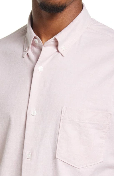 Shop Nordstrom Oxford Button-up Performance Shirt In Pink Glass- White Oxford