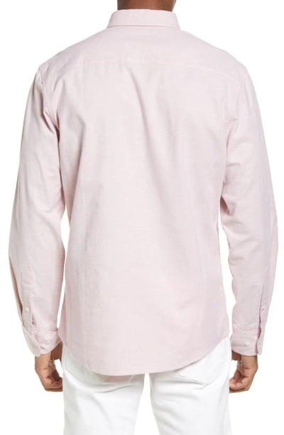 Shop Nordstrom Oxford Button-up Performance Shirt In Pink Glass- White Oxford
