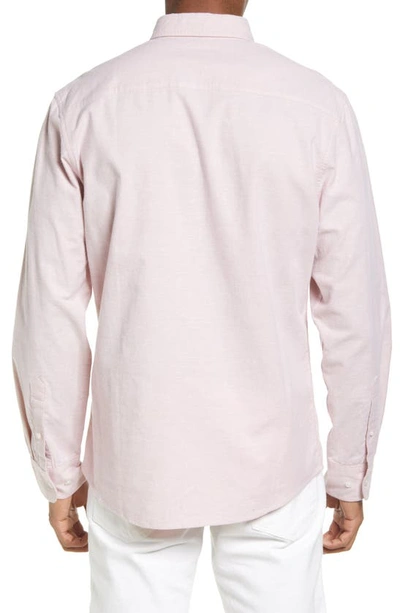 Nordstrom Oxford Button-up Performance Shirt In Pink Glass- White Oxford