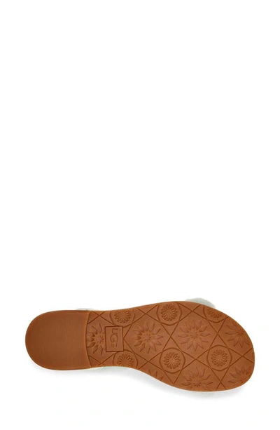 Ugg Fluff Springs Genuine Shearling Sandal In Agave Glow