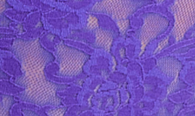 Hanky Panky French Bikini In Majestic Purple