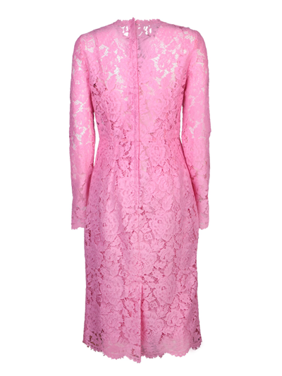 Shop Dolce & Gabbana Long Sleeves Pink Dress