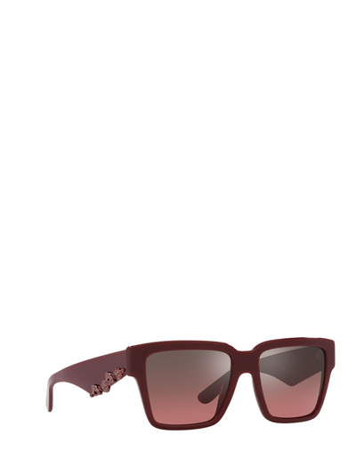 Shop Dolce &amp; Gabbana Eyewear Dg4436 Bordeaux Sunglasses