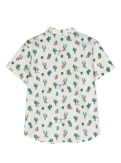 Shop Moschino White Shirt With Cactus And Teddy Bear In Stretch Cotton Boy