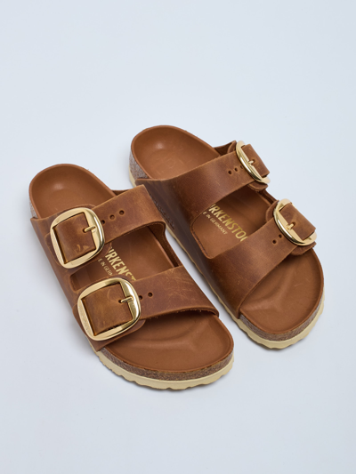 Shop Birkenstock Arizona Big Buckle Sandal In Cuoio