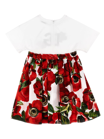 Shop Dolce & Gabbana Poppy Print Dress In Multicolor