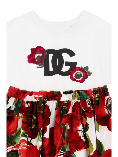 Shop Dolce & Gabbana Poppy Print Dress In Multicolor