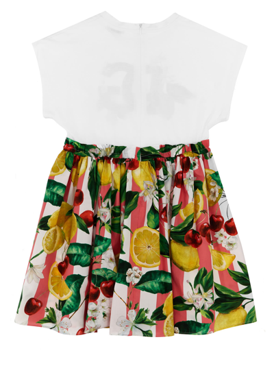 Shop Dolce & Gabbana Fruit Print Dress In Multicolor