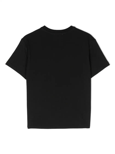Shop Msgm Black T-shirt With Logo And Palm Trees
