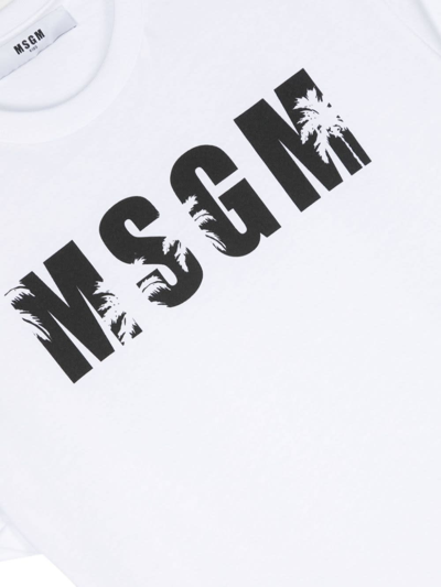 Shop Msgm White T-shirt With Logo And Palm Trees