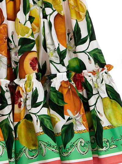 Shop Dolce & Gabbana Fruit Print Skirt In Multicolor