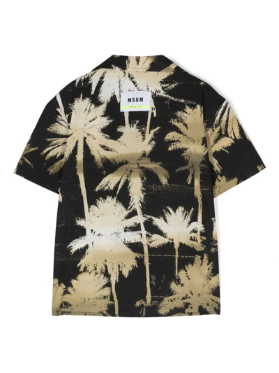 Shop Msgm Black Bowling Shirt With Palm Print