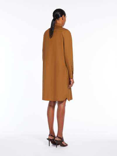 Shop Max Mara Abito Juanita In Brown