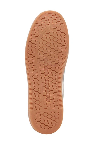 Dolce Vita Notice X Platform Sneaker In Ivory Multi Nylon