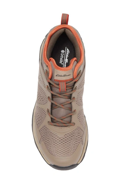 Shop Eddie Bauer Low Hiker Sneaker In Taupe