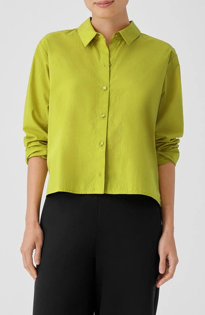 Shop Eileen Fisher Classic Point Collar Organic Cotton Poplin Button-up Shirt In Citron