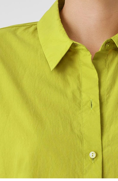 Shop Eileen Fisher Classic Point Collar Organic Cotton Poplin Button-up Shirt In Citron