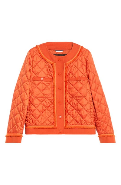 Shop Max Mara Weekend  Ferro Quilted Jacket In Orange