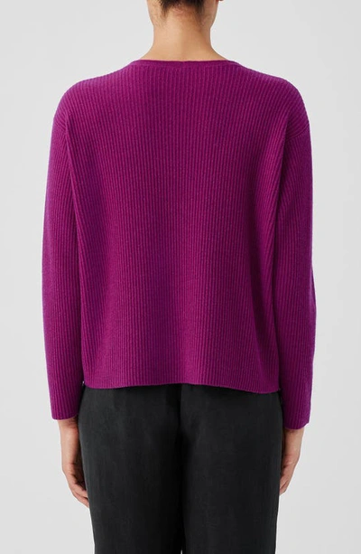 Shop Eileen Fisher V-neck Cashmere Rib Pullover Sweater In Rhapsody